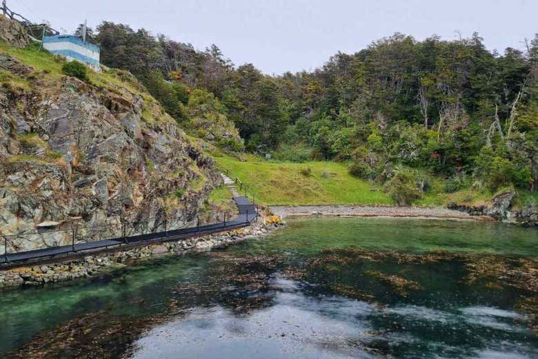 Tour por Tierra del Fuego + Barco a la isla Redonda
