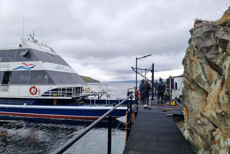 Tour por Tierra del Fuego + Barco a la isla Redonda