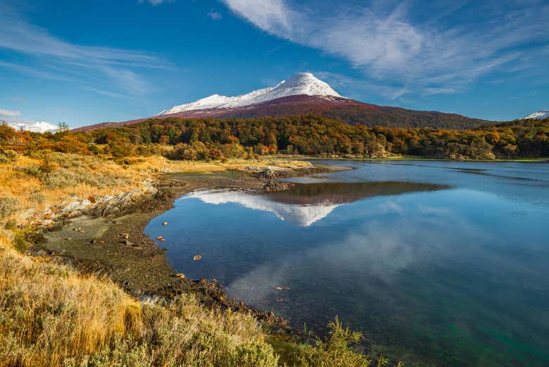 Tour por Tierra del Fuego + Barco a la isla Redonda