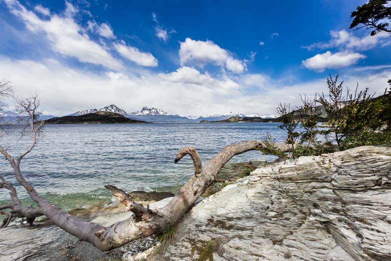 Tour por Tierra del Fuego + Barco a la isla Redonda