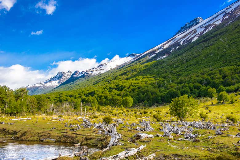 Tour por Tierra del Fuego + Barco a la isla Redonda