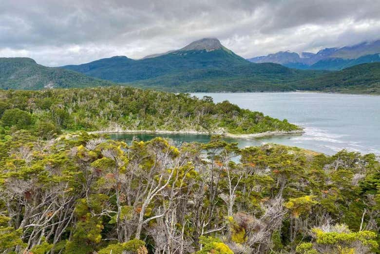 Tour por Tierra del Fuego + Barco a la isla Redonda