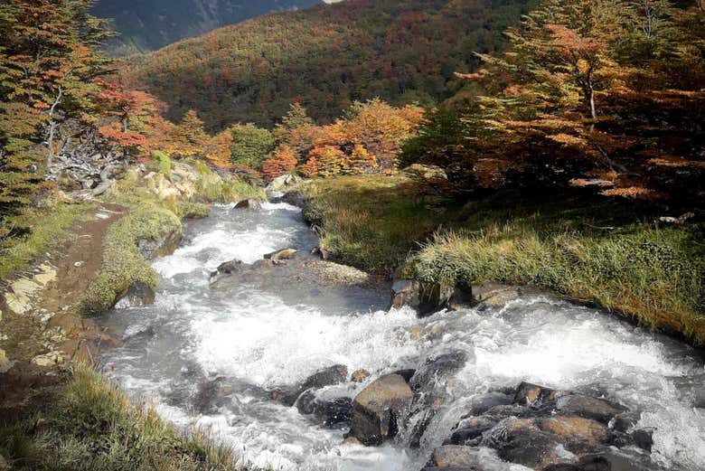Trekking por el glaciar Vinciguerra