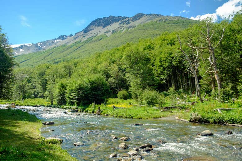 Trekking por el glaciar Vinciguerra
