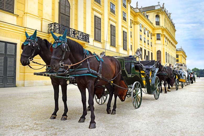 Visita guiada por el Palacio de Schönbrunn