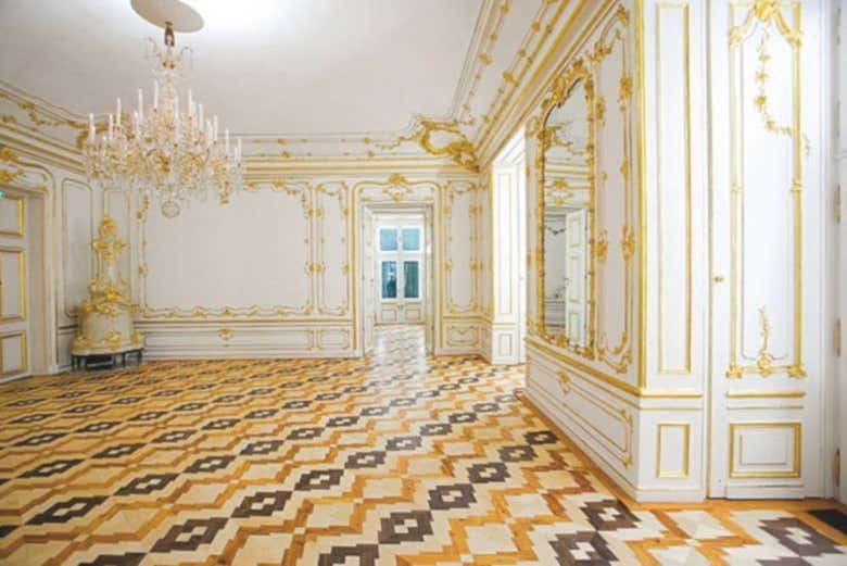 Palacio Schönbrunn con cena y concierto