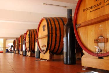 Tour de viedos y bodegas
