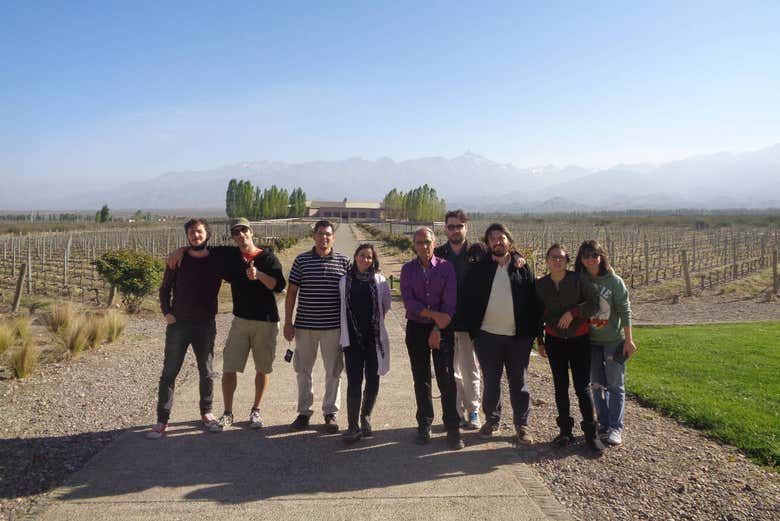 Tour de viñedos y bodegas