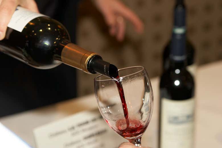 Tour de viñedos y bodegas