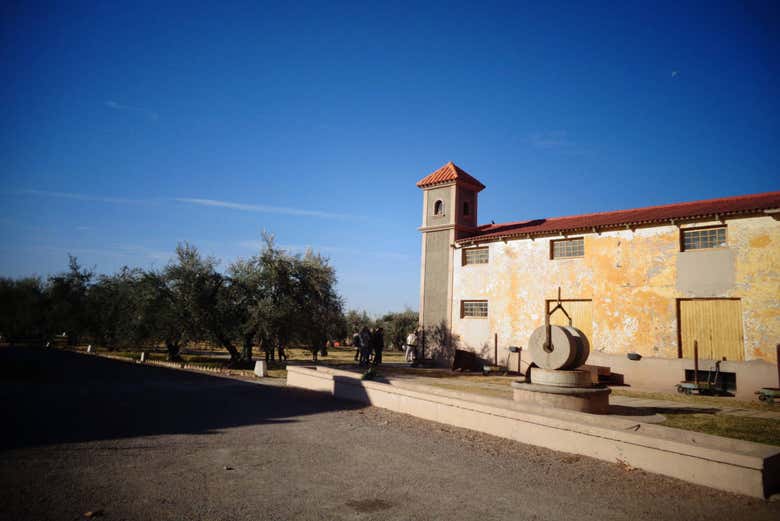 Tour de viñedos y bodegas