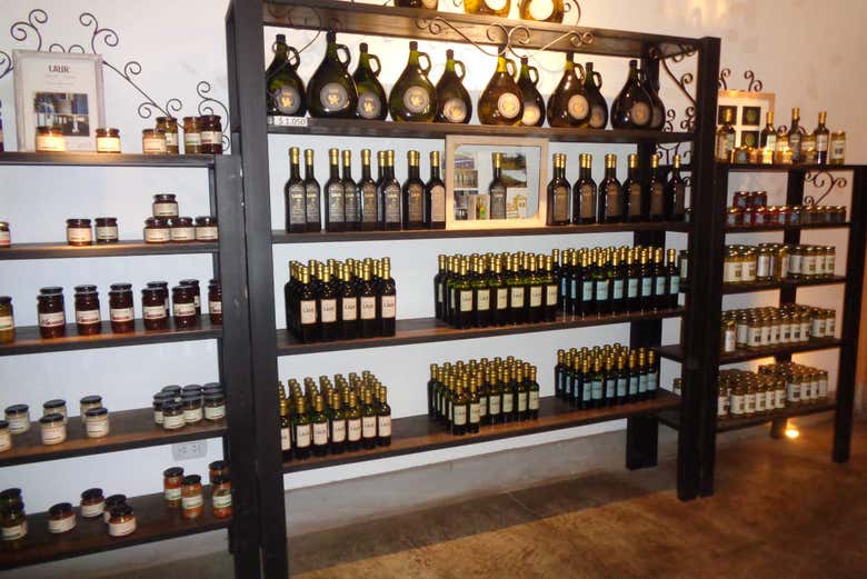 Tour de viñedos y bodegas