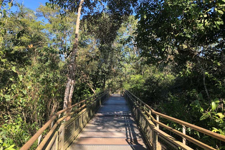 Excursión privada desde Puerto Iguazú