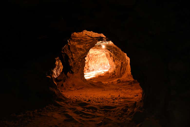 Excursión privada desde Puerto Iguazú