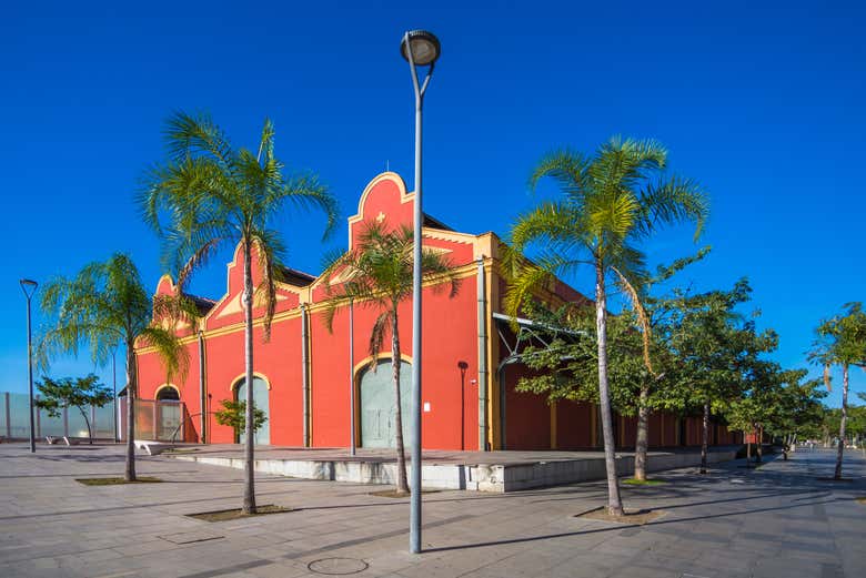 Tour por el AquaRio y el Bulevar Olímpico