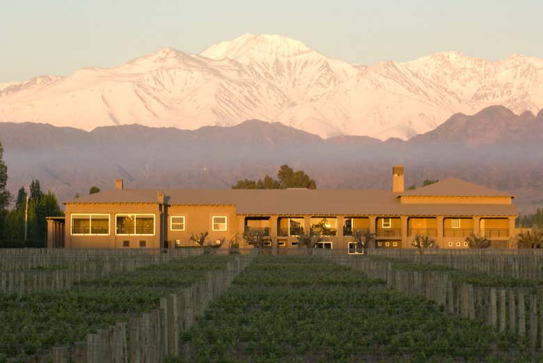 Tour privado por las bodegas de Luján de Cuyo