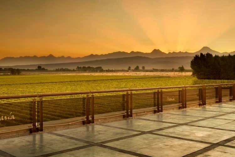 Tour privado por las bodegas de Luján de Cuyo