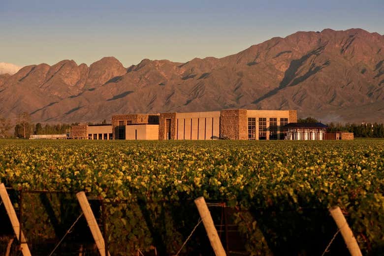 Tour privado por las bodegas de Luján de Cuyo