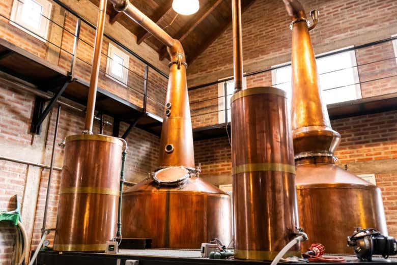 Tour del vermut, el whisky y la ginebra por Dina Huapi