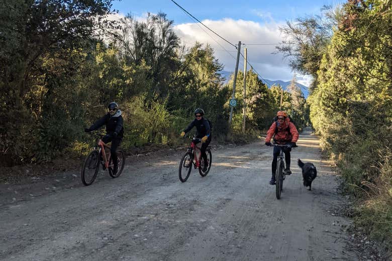 Tour en bicicleta por Colonia Suiza y Villa Los Coihues