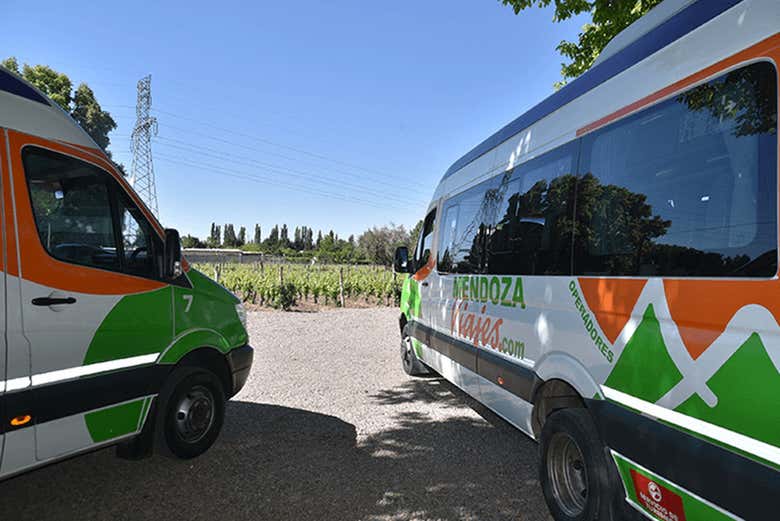Tour por la zona vitivinícola de Luján de Cuyo en grupo reducido