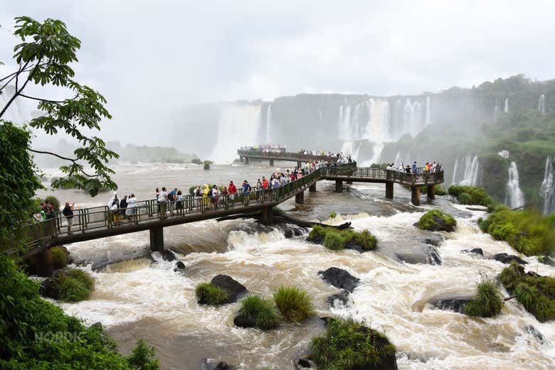 Cataratas de Iguazú (lado brasileño)