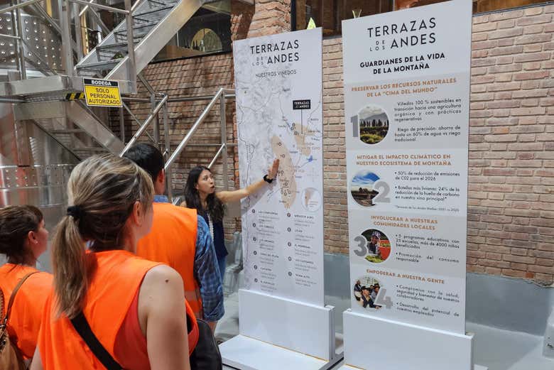 Tour por el sur de la zona vitivinícola de Luján de Cuyo