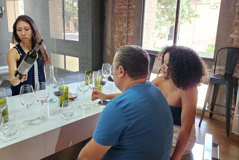 Tour por el sur de la zona vitivinícola de Luján de Cuyo