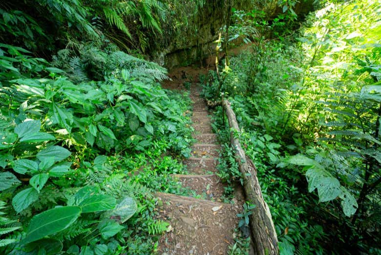 Excursión a los Saltos del Moconá