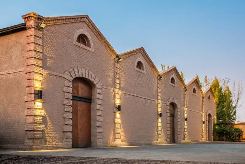 Tour privado por las bodegas de Maipú