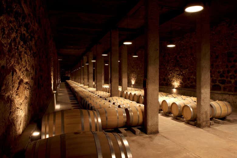 Tour privado por las bodegas de Maipú