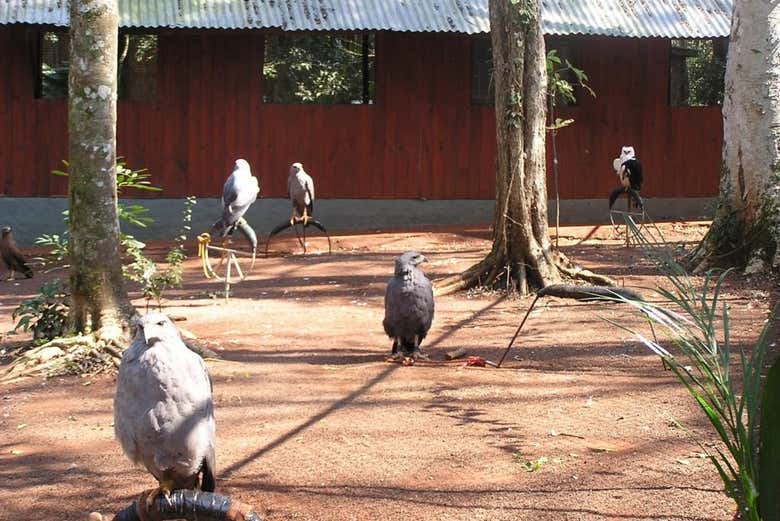 Excursión al refugio de animales silvestres Güirá Oga