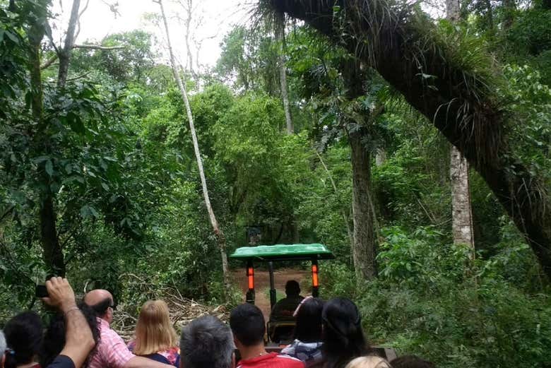 Excursión al refugio de animales silvestres Güirá Oga