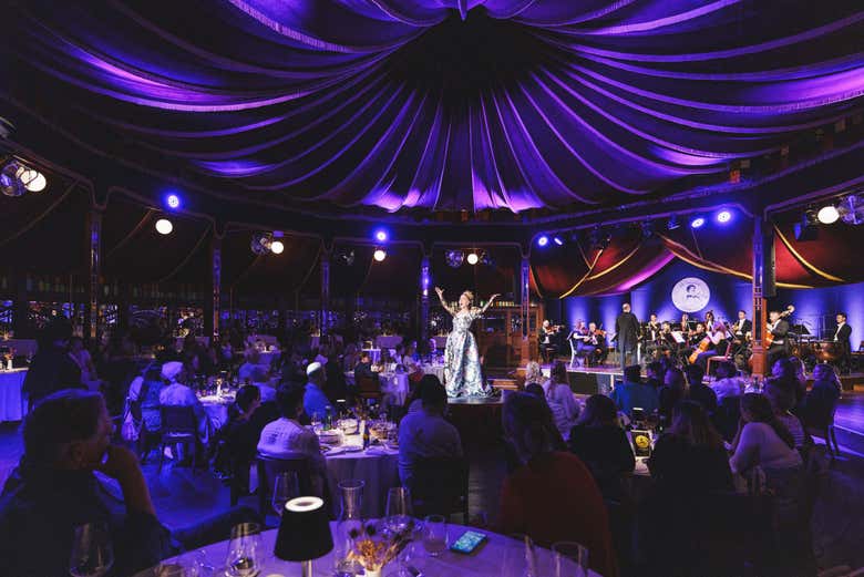 Concierto de Strauss con cena en el Prater