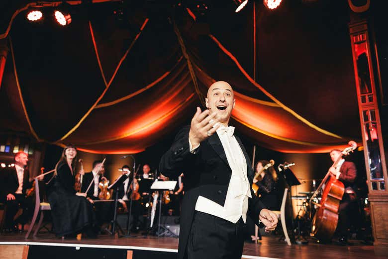 Concierto de Strauss con cena en el Prater