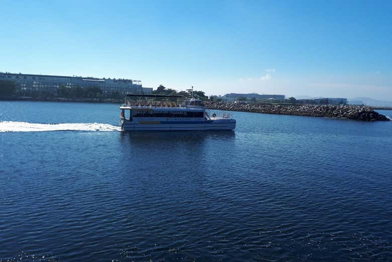 Paseo en catamarán por la bahía de Guanabara + Museo del Mañana