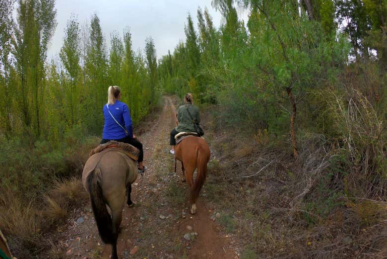 Paseo a caballo por Lunlunta