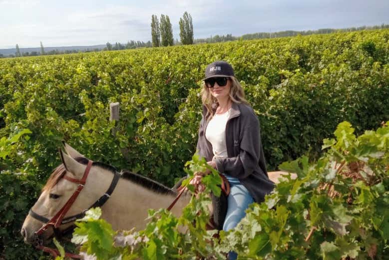 Paseo a caballo por Lunlunta