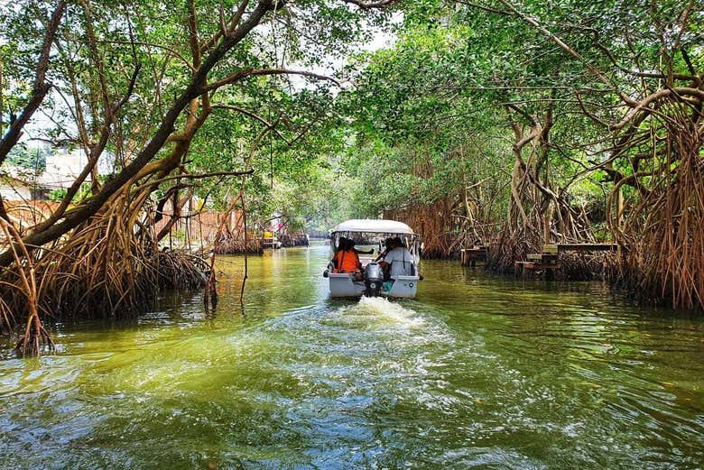 Tour por Barra da Tijuca y la isla de Gigóia