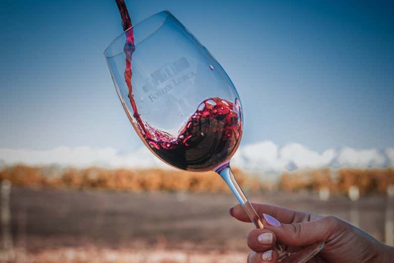 Tour del Malbec por la zona vitivinícola de Luján de Cuyo