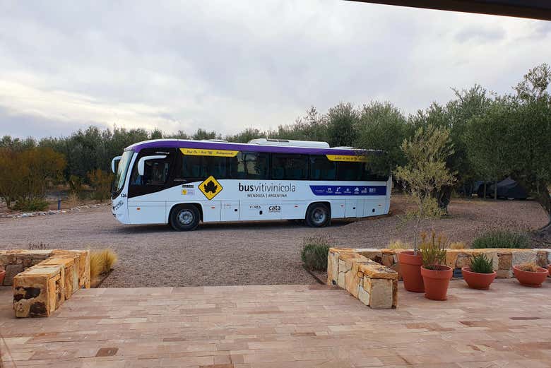 Tour del Malbec por la zona vitivinícola de Luján de Cuyo