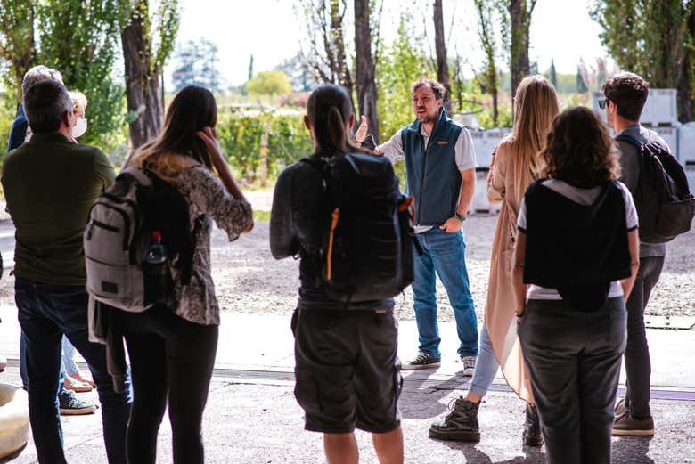 Tour del Malbec por la zona vitivinícola de Luján de Cuyo