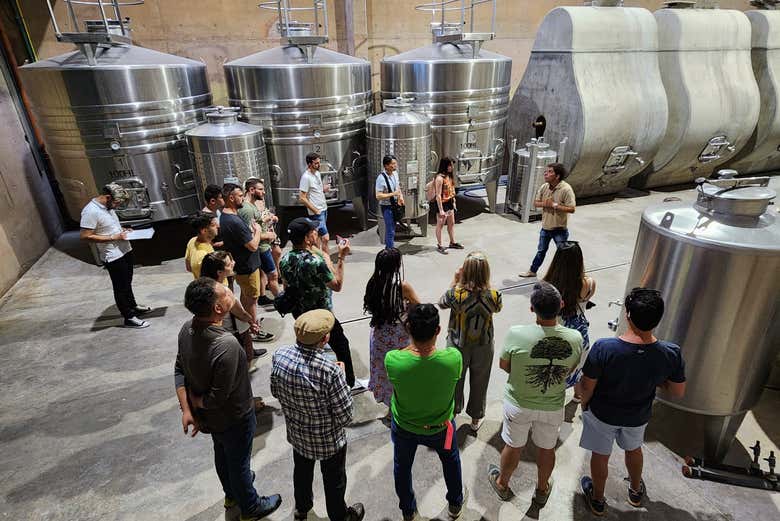 Tour del Malbec por la zona vitivinícola de Luján de Cuyo