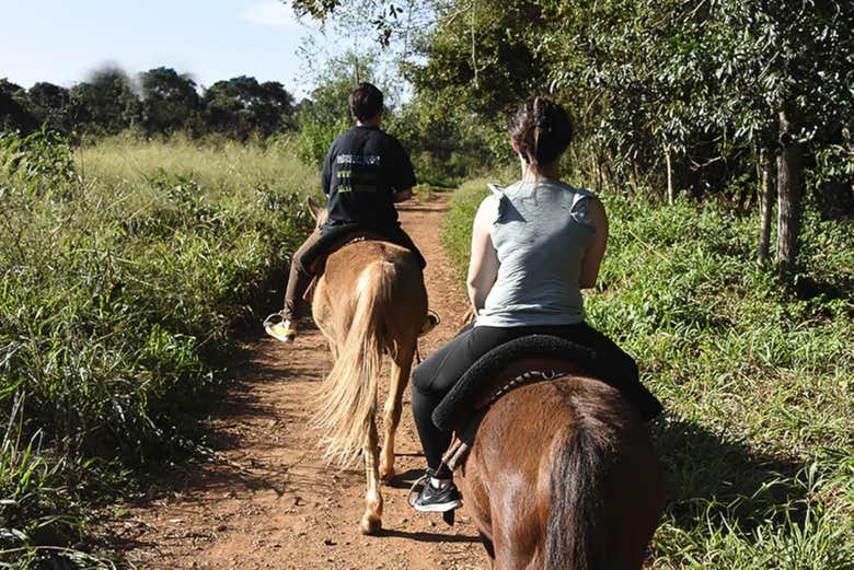 Paseo a caballo por la selva de Iguazú
