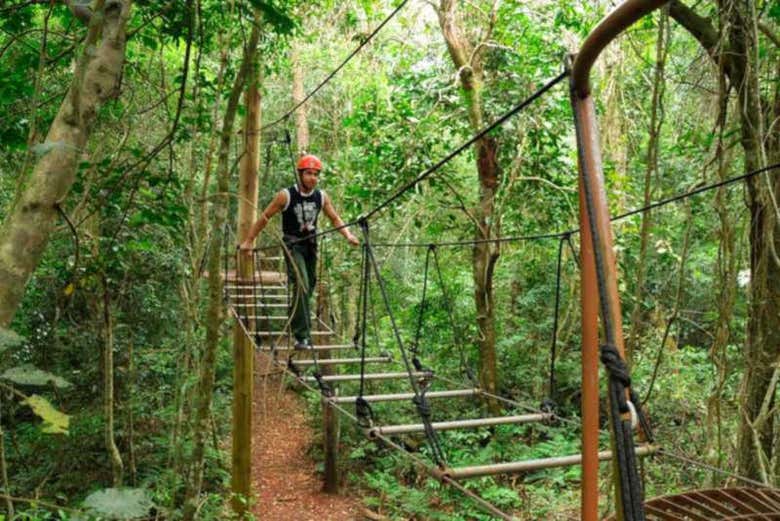 Tour de aventura en Jungle Fly