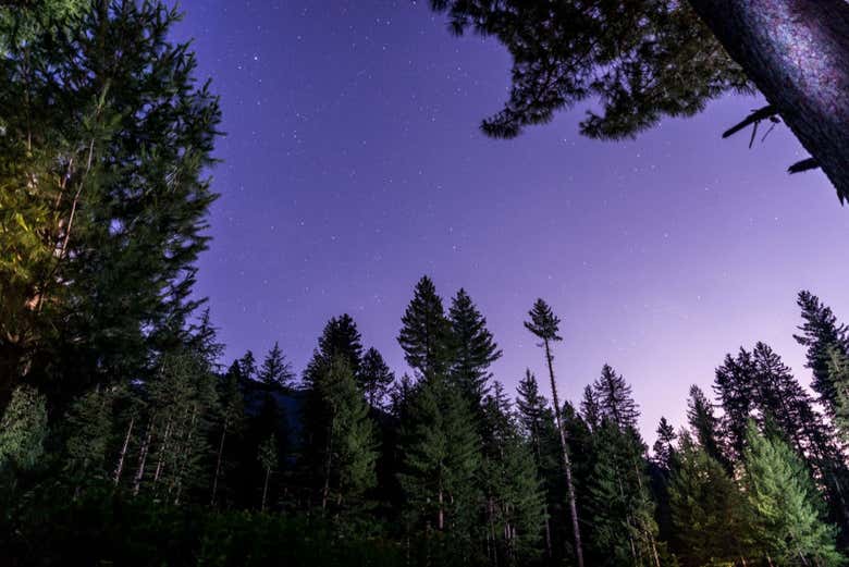 Trekking nocturno por el Cerro López