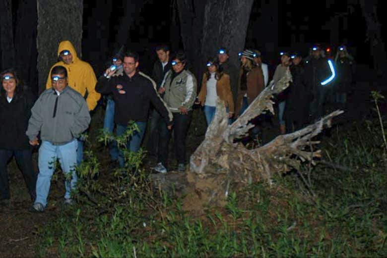 Trekking nocturno por el Valle del Chalhuaco
