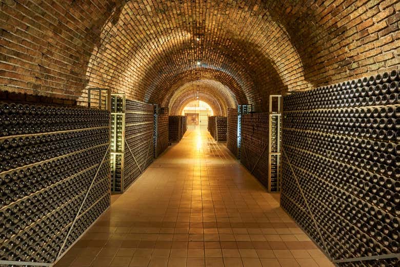 Tour privado de bodegas por Luján de Cuyo + Cata de espumosos