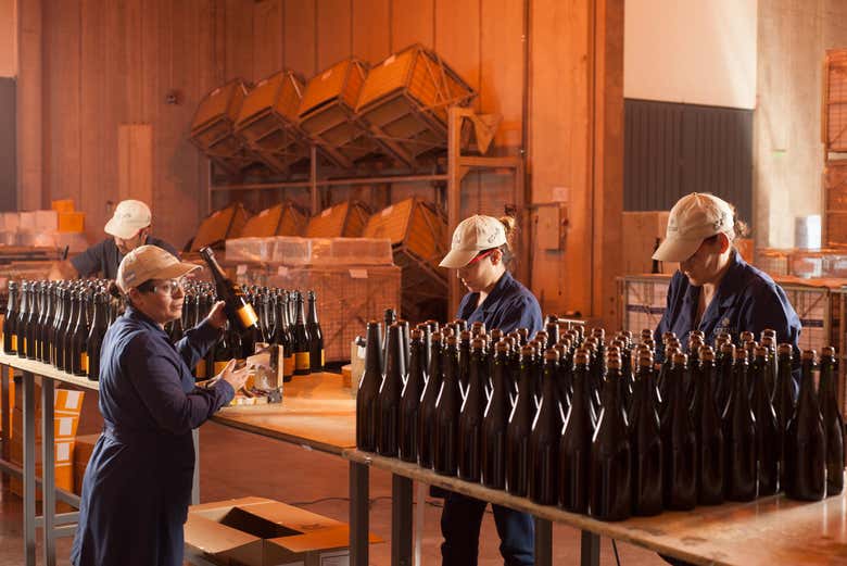 Tour privado de bodegas por Luján de Cuyo + Cata de espumosos