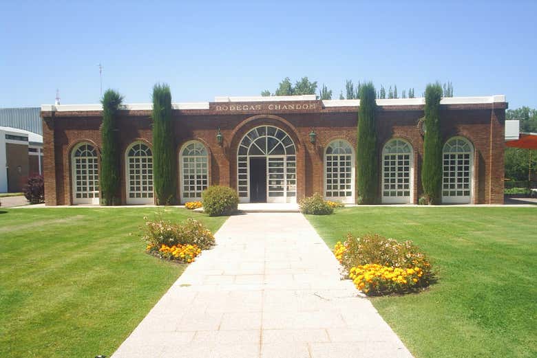 Tour privado de bodegas por Luján de Cuyo + Cata de espumosos