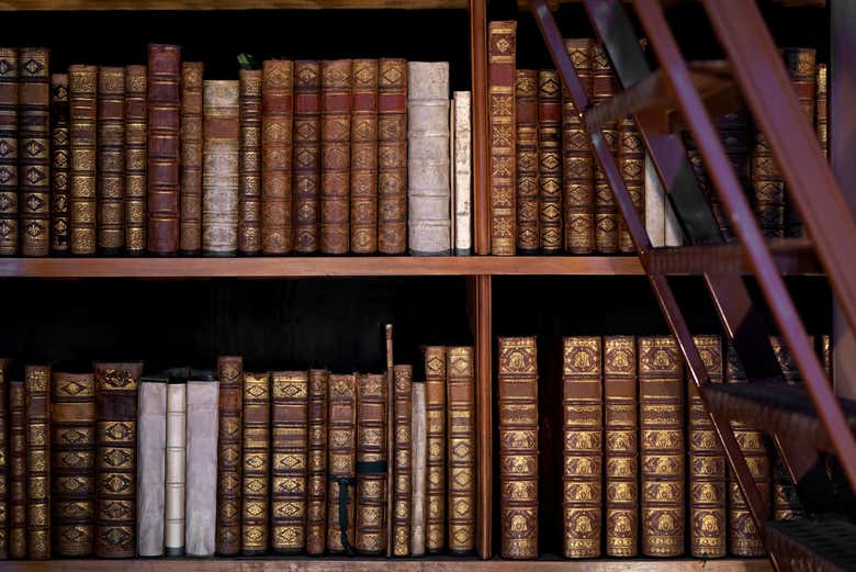 Visita guiada por la Biblioteca Nacional de Austria